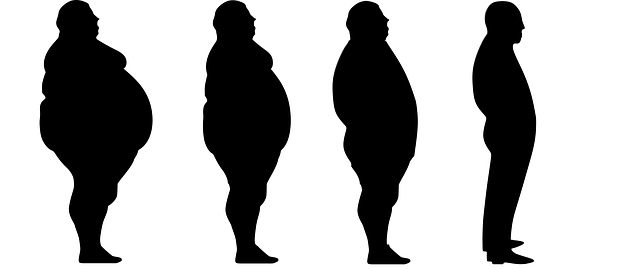 肥満体型と痩せ型